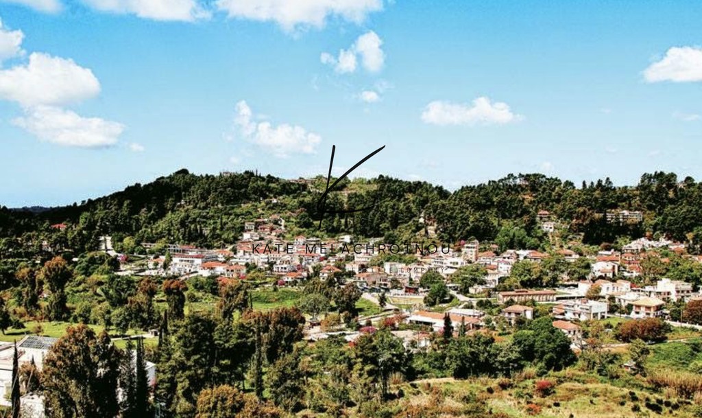 Ξενοδοχείο 3.500 τ.μ. πρός πώληση, Ν. Ηλείας, Αρχαία Ολυμπία