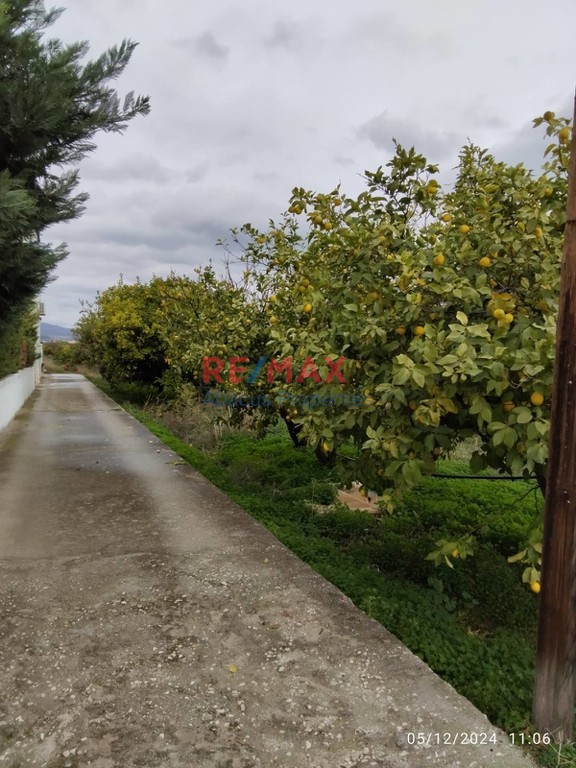 Οικόπεδο 5.707 τ.μ. προς πώληση, Βοχαϊκό