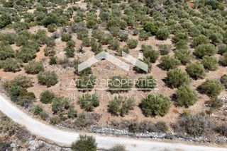 Οικόπεδο 8.000 τ.μ. προς πώληση, Λιτσάρδα-thumb-5
