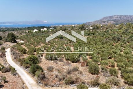 Οικόπεδο 8.000 τ.μ. για πώληση
