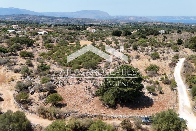 Οικόπεδο 8.000 τ.μ. προς πώληση, Λιτσάρδα