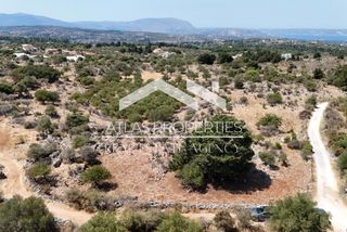 Οικόπεδο 8.000 τ.μ. προς πώληση, Λιτσάρδα-thumb-3