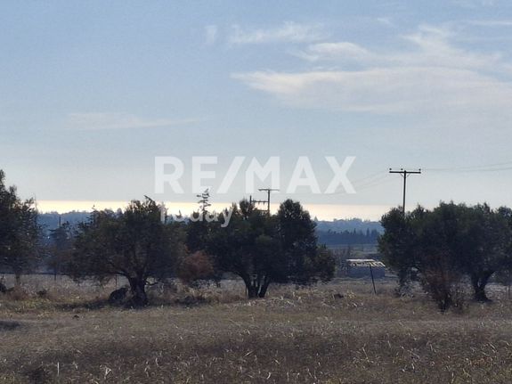 Parcel 10.100 sqm for sale, Thessaloniki - Suburbs, Epanomi
