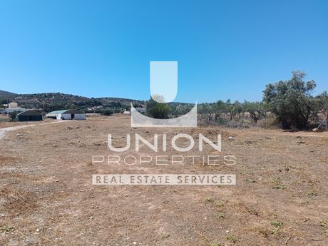 Οικόπεδο 14.044 τ.μ. πρός πώληση