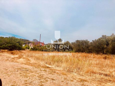 Οικόπεδο 800 τ.μ. για πώληση