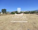 Land plot 5.300sqm for rent-Koropi » Center