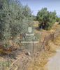 Land plot 246sqm for sale-Paiania » Agios Andreas