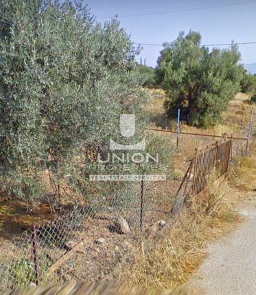 Οικόπεδο 246 τ.μ. για πώληση, Αθήνα - Ανατολικά Προάστια, Παιανία