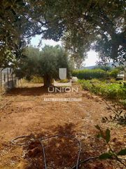 Οικόπεδο 560 τ.μ. προς πώληση