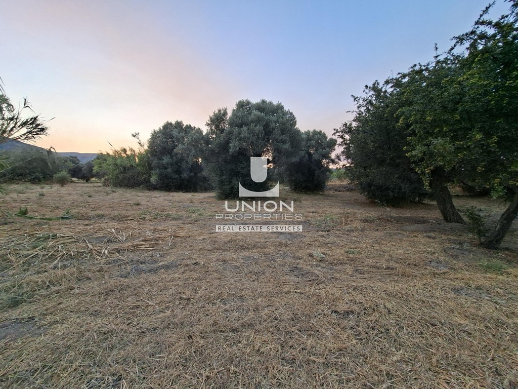 Οικόπεδο 10.000 τ.μ. πρός πώληση, Αττική - Υπόλοιπο, Κερατέα