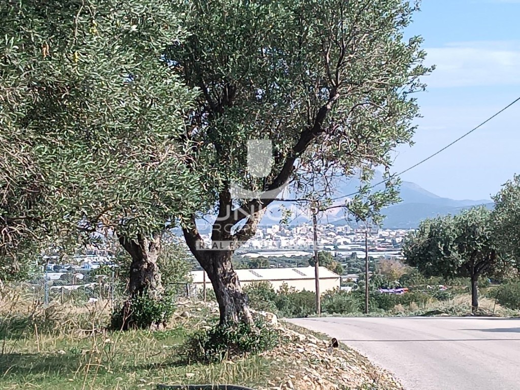Οικόπεδο 4.011 τ.μ. πρός πώληση, Αθήνα - Ανατολικά Προάστια, Κορωπί