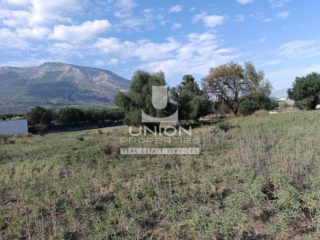 Οικόπεδο 4.011 τ.μ. πρός πώληση, Αθήνα - Ανατολικά Προάστια, Κορωπί