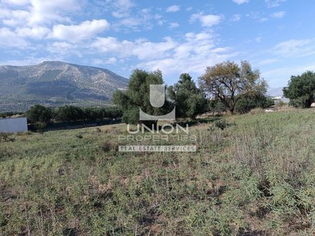 Οικόπεδο 4.011 τ.μ. για πώληση