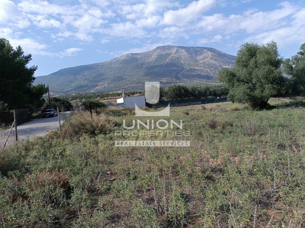 Οικόπεδο 4.011 τ.μ. πρός πώληση, Αθήνα - Ανατολικά Προάστια, Κορωπί