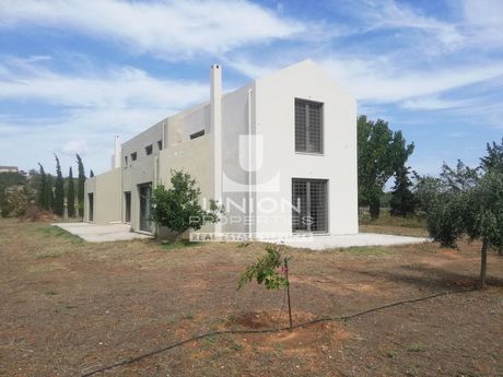 Μονοκατοικία 234 τ.μ. πρός πώληση