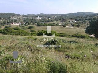 Οικόπεδο 69.131 τ.μ. για πώληση, Αττική - Υπόλοιπο, Κερατέα-thumb-5