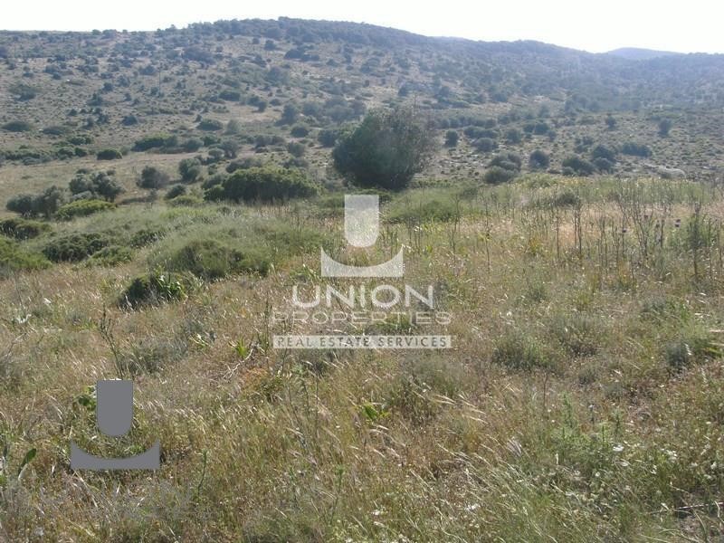 Οικόπεδο 69.131 τ.μ. πρός πώληση, Αττική - Υπόλοιπο, Κερατέα