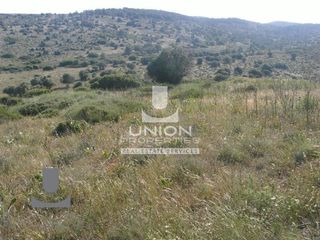 Οικόπεδο 69.131 τ.μ. για πώληση, Αττική - Υπόλοιπο, Κερατέα-thumb-2