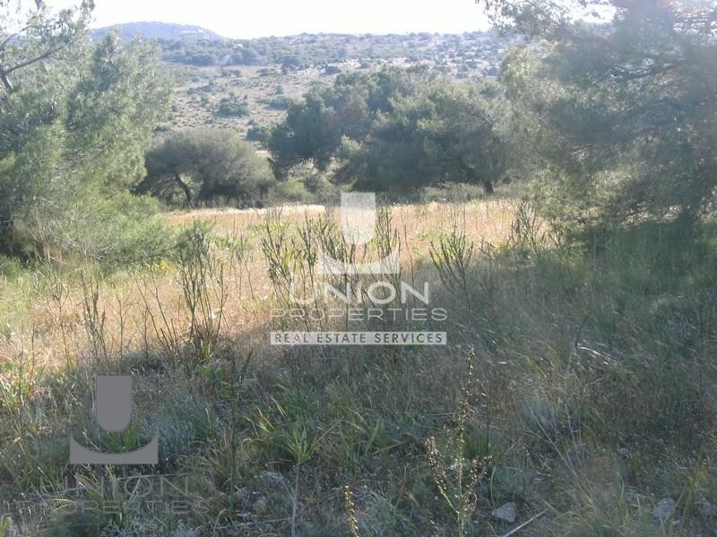 Οικόπεδο 69.131 τ.μ. πρός πώληση, Αττική - Υπόλοιπο, Κερατέα
