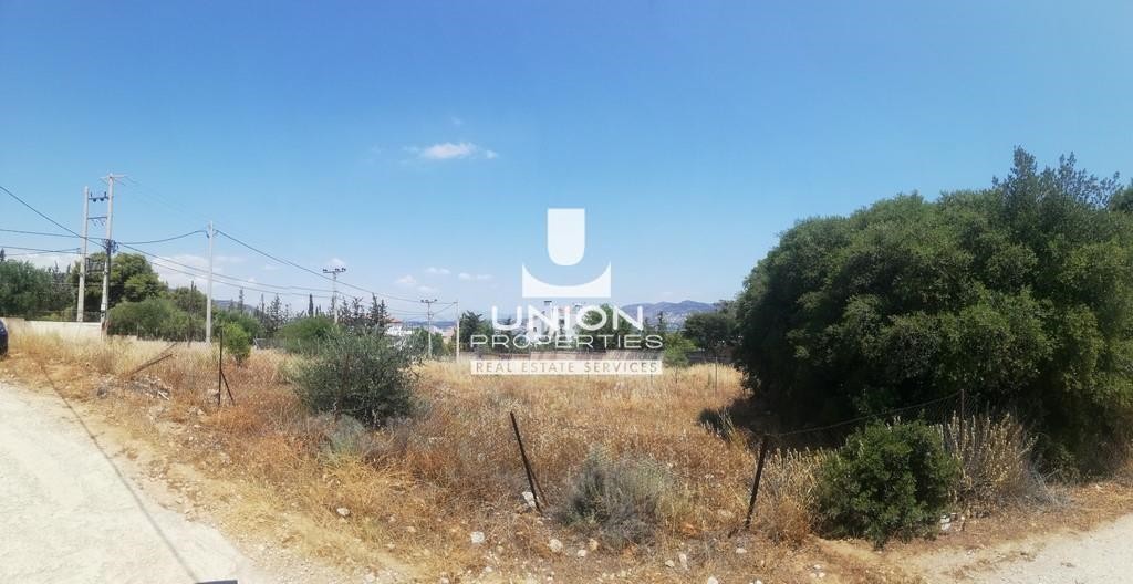 Οικόπεδο 440 τ.μ. πρός πώληση, Αττική - Υπόλοιπο, Μαρκόπουλο