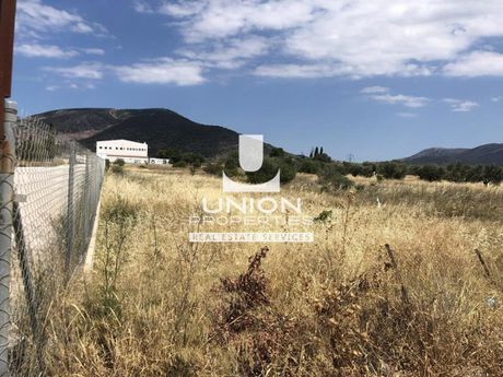 Οικόπεδο 4.065 τ.μ. πρός πώληση