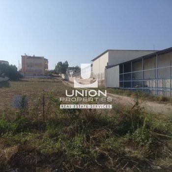 Οικόπεδο 1.378 τ.μ. πρός πώληση