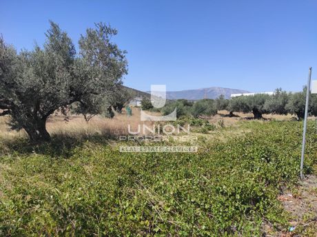 Οικόπεδο 6.932,21 τ.μ. πρός πώληση