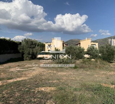 Οικόπεδο 1.650 τ.μ. πρός πώληση