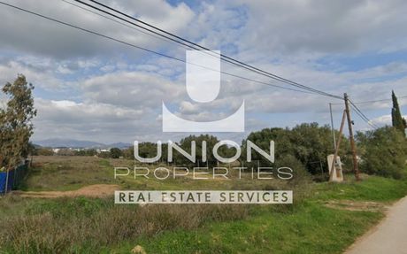 Οικόπεδο 6.000 τ.μ. για πώληση