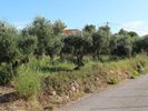 Parcel 2.022sqm for sale-Kefalonia » Leivatho