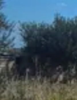 Land plot 1.560sqm for sale-Aspropirgos » Kounoupitsa