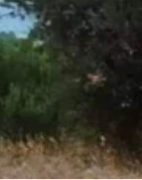 Land plot 771sqm for sale-Voula » Pigadakia