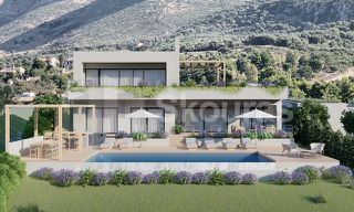 Οικόπεδο 2.300 τ.μ. για πώληση, Μεσσηνία, Πύλος-thumb-21