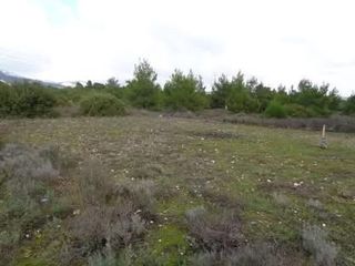 Αγροτεμάχια 336 τ.μ. για πώληση