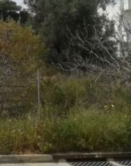 Οικόπεδο 517 τ.μ. για πώληση