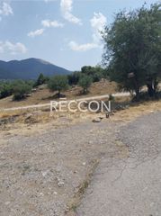 Οικόπεδο 600 τ.μ. για πώληση, Αρκαδία, Βιτίνα-thumb-2
