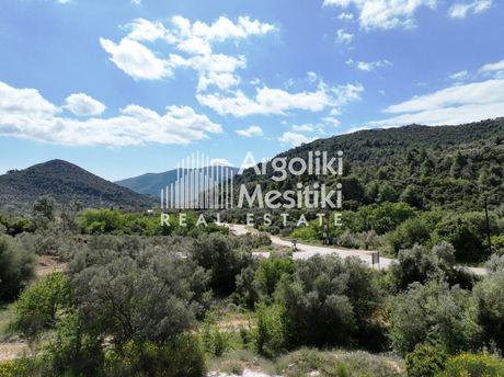 Αγροτεμάχια 5.110τ.μ. για πώληση-Ασκληπιείο » Λυγουριό