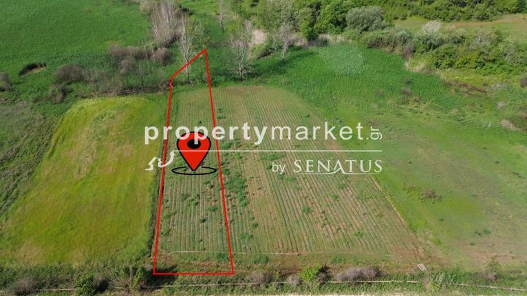 Αγροτεμάχια 2.435 τ.μ. για πώληση, Ν. Καβάλας, Χρυσούπολη