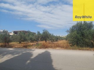 Οικόπεδο 2.800 τ.μ. για πώληση