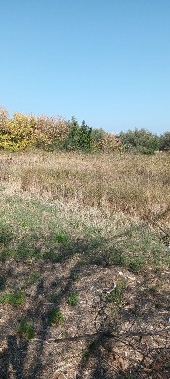 Οικόπεδο 2.253 τ.μ. πρός πώληση, Κορινθία, Βέλο