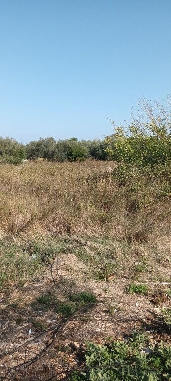 Οικόπεδο 2.253 τ.μ. πρός πώληση, Κορινθία, Βέλο