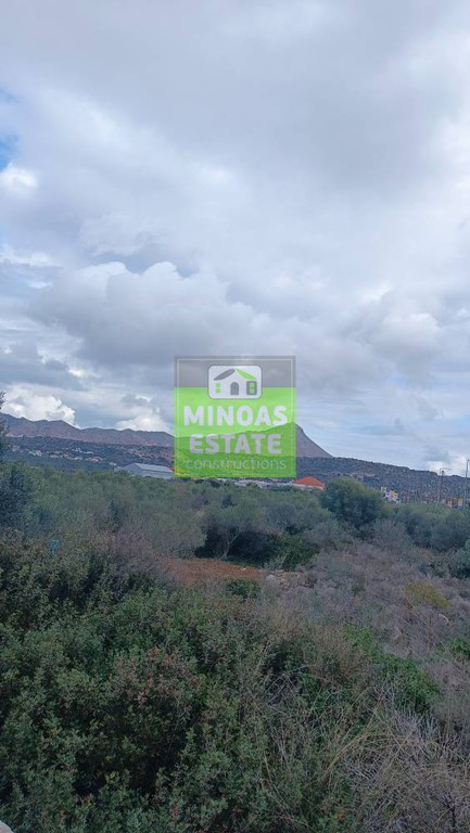 Αγροτεμάχια 3.106 τ.μ. προς πώληση, Παζινός