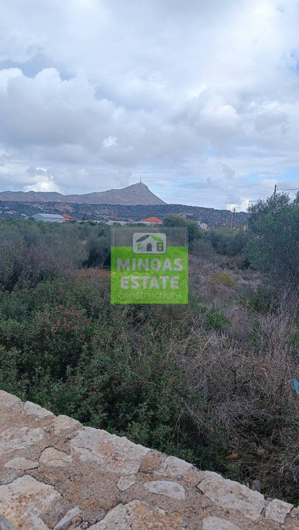 Αγροτεμάχια 3.106 τ.μ. προς πώληση, Παζινός
