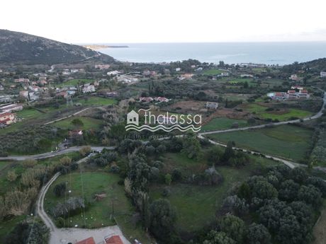 Αγροτεμάχια 4.990τ.μ. για πώληση-Κεφαλονιά » Ελειός - πρόννοι