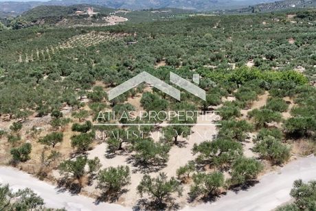 Land plot 1.000sqm for sale-Kolimvari » Vasilopoulo