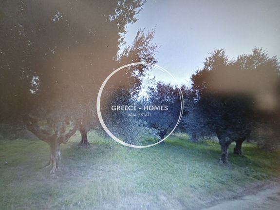 Land plot 2.800 sqm for sale, Messinia, Androusa