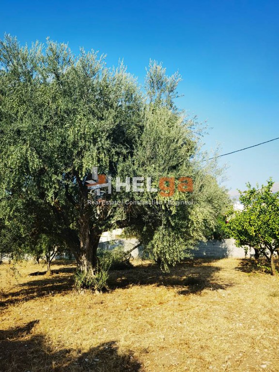 Οικόπεδο 500 τ.μ. προς πώληση, Οβριά
