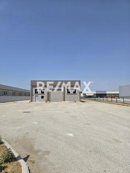 Industrial space 1.003sqm for rent-Echedoros » Sindos