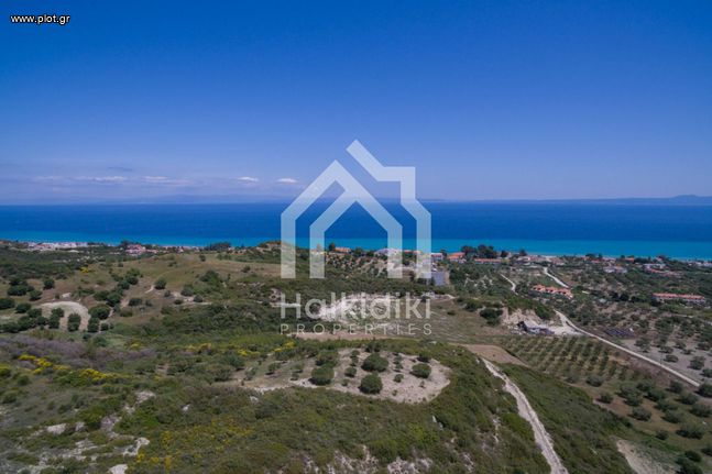Αγροτεμάχια 4.067 τ.μ. για πώληση, Χαλκιδική, Κασσάνδρα