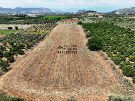 Αγροτεμάχια 8.000τ.μ. για πώληση-Νέα τίρυνθα » Άγιος αδριανός